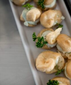 Márványos képviselő