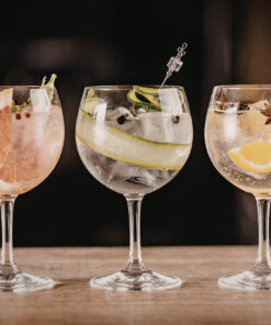 Premium Gin & Tonic Experience